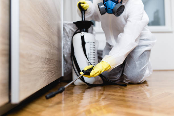Trusted Mesa, AZ Pest Control Experts