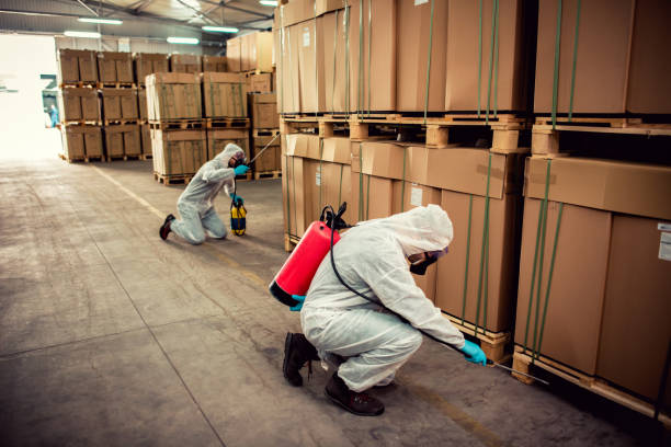Best Emergency Pest Control  in Mesa, AZ