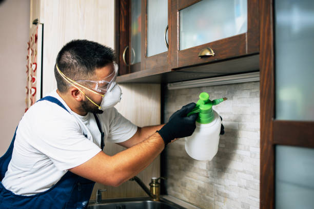 Best Pest Control Cost  in Mesa, AZ