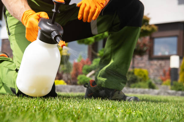 Best Mosquito Control Services  in Mesa, AZ