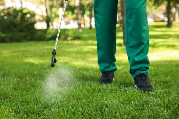  Mesa, AZ Pest Control Pros