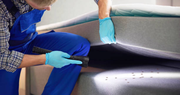 Best Pest Control for Businesses  in Mesa, AZ