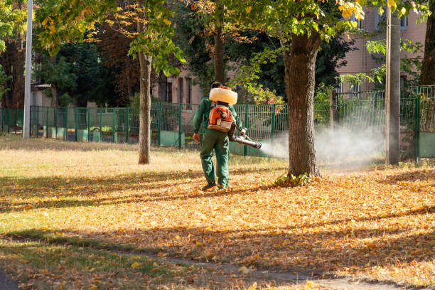 Best Affordable Pest Control Services  in Mesa, AZ