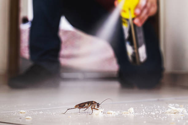 Best Commercial Pest Control Services  in Mesa, AZ