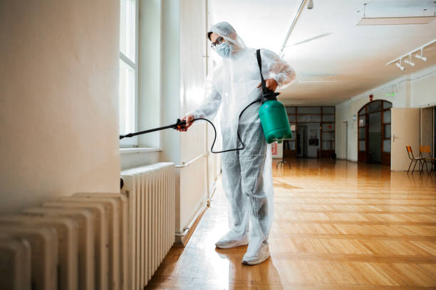 Best Pest Prevention Services  in Mesa, AZ