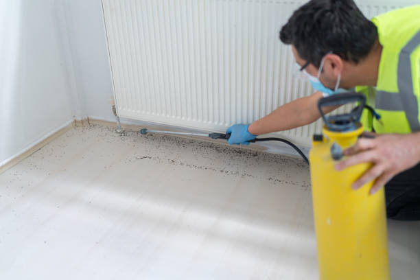 Best Exterminator Services  in Mesa, AZ